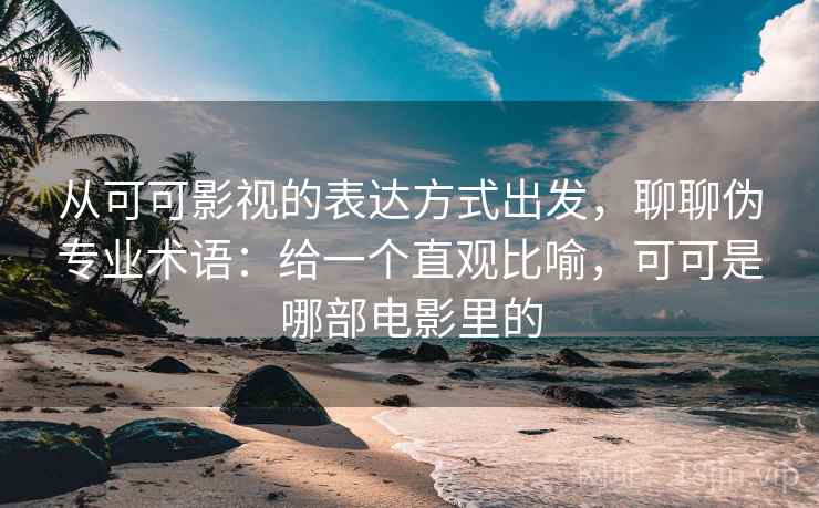 从可可影视的表达方式出发，聊聊伪专业术语：给一个直观比喻，可可是哪部电影里的